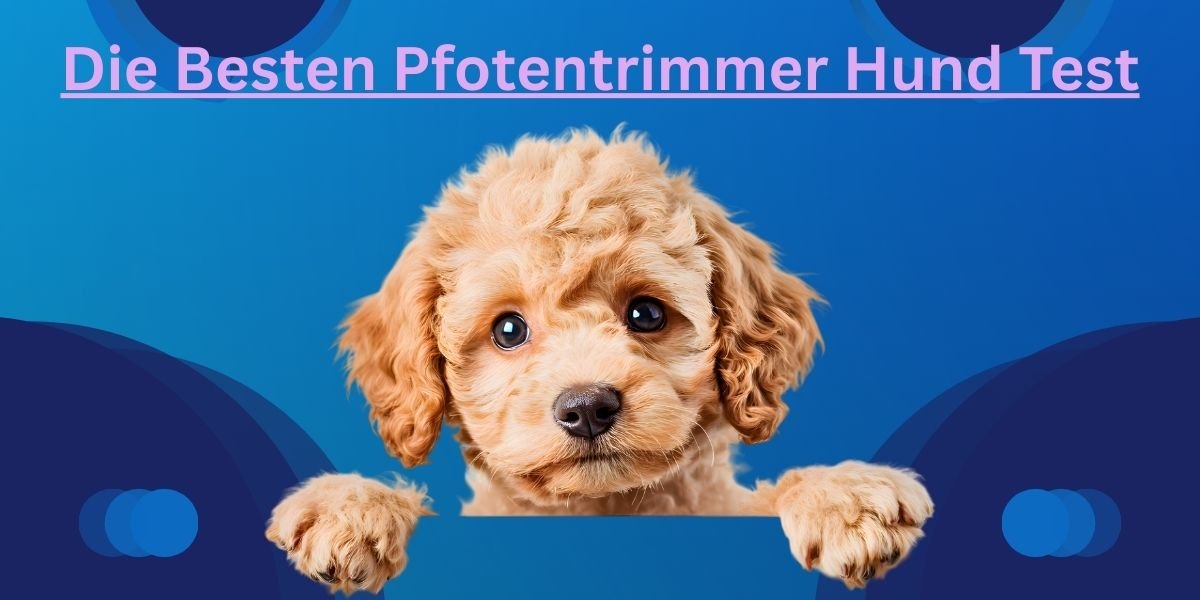 Die Besten Pfotentrimmer Hund Test